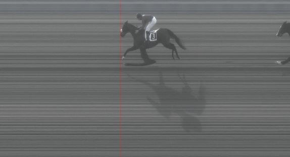 Ippica, Pisa: Oggi 24/02 Risultati 5^ Corsa Vince&nbsp;Lipsie