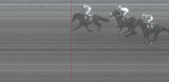 Ippica, Pisa: Oggi 24/02 Risultati 6^ Corsa Vince Punta di&nbsp;Diamante