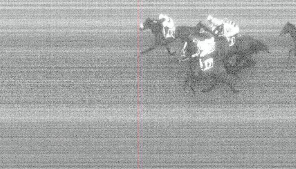 Ippica, Pisa: Oggi 28/02 Risultati 6^ Corsa Vince&nbsp;Montepetra