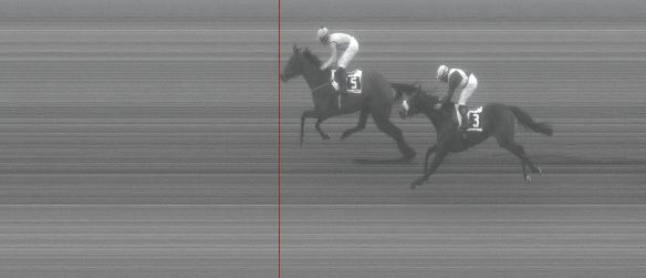 Ippica, Pisa: Oggi 07/02 Risultati 6^ Corsa Vince N’Est Pas&nbsp;Dit