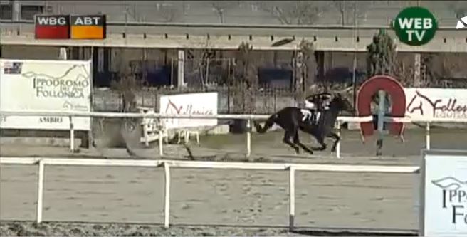 Ippica, Follonica: Risultati 2^ Corsa Vince Ugo&nbsp;Ricotta