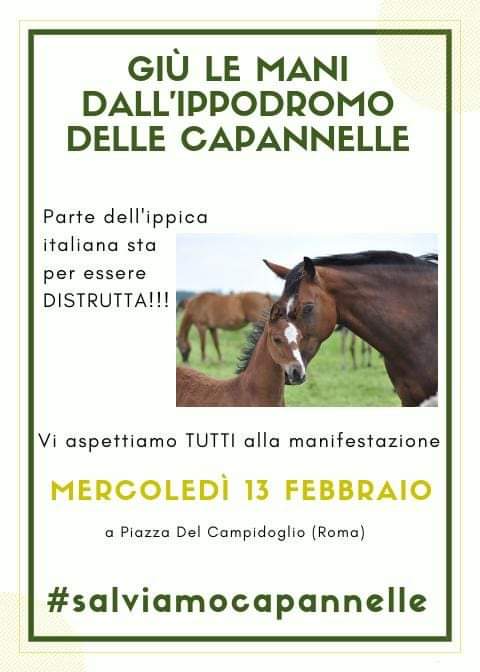 Ippica, Crisi Capannelle: Indetta manifestazione per mercoledì 13 Febbraio!! Chi ama Capannelle ci&nbsp;sarà