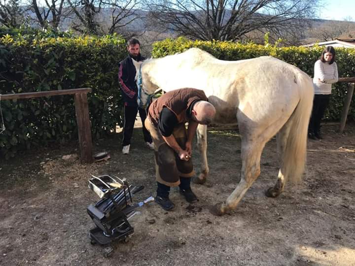 Palio di Siena, Associazione Proprietari Allenatori Allevatori Cavalli da Palio: Oggi 13/02 nel pomeriggio gli studenti dell’Agrario hanno appreso le fasi della&nbsp;mascalcia