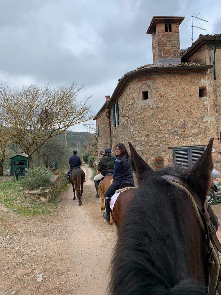 Siena, Paradiso del Cavallo:Da ieri 26/02  organizzate passeggiate a&nbsp;cavallo