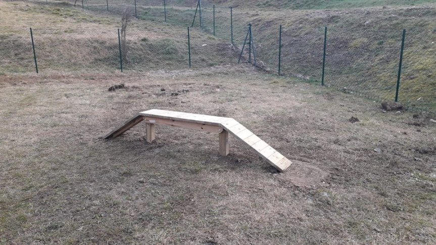 Siena: Nell’area cani di Pescaia sta nascendo uno spazio dedicato all’agility dog