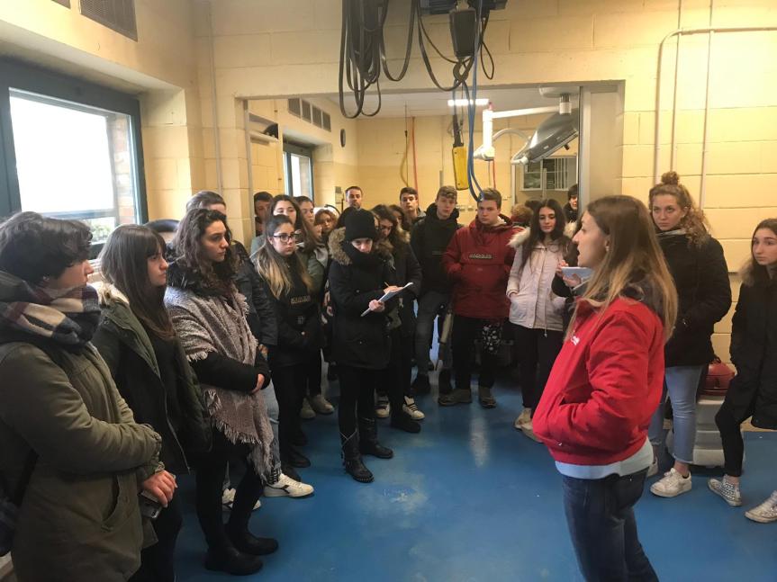 Associazione Proprietari Allenatori Allevatori Cavalli Palio: Alcuni momenti della lezione al Ceppo degli alunni del&nbsp;Ricasoli