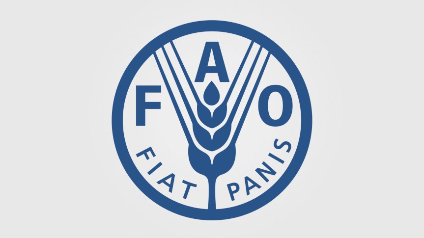 Siena, FAO e Fondazione PRIMA: Una nuova partnership per promuovere&nbsp;l’innovazione