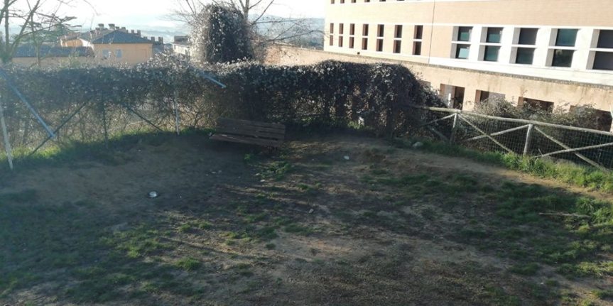 Siena: Inserita una panchina  presso l’area cani agli Orti dei&nbsp;Tolomei