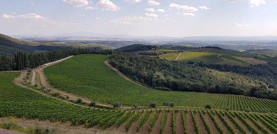 Toscana: Vendemmia 2019, si preannuncia una grande annata per i vini della denominazione Vino Chianti DOCG