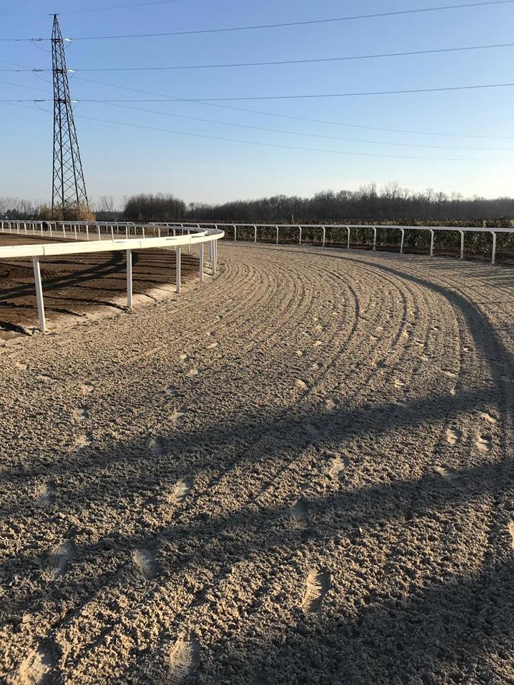 Palio di Legnano: Ecco le Batterie delle Corse di Addestramento del&nbsp;10/03