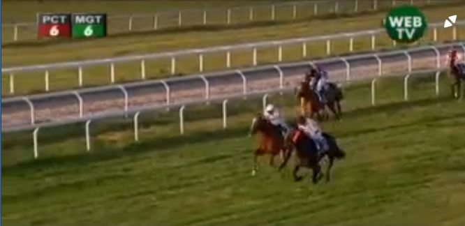 Ippica, Chilivani: Oggi 31/08 Risultati 3 e 5 Corsa vincono Assoluta di Gavoi e Antares&nbsp;Grey