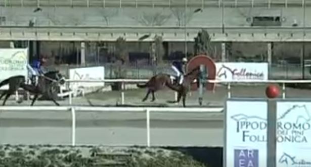 Ippica, Follonica: Oggi 20/03 Risultati 1^ Corsa Vince Forban du&nbsp;Pecos