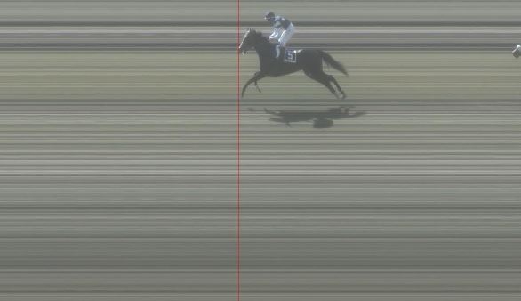 Ippica, Pisa: Oggi 28/03 Risultati 1^ Corsa Vince&nbsp;Nabeeha