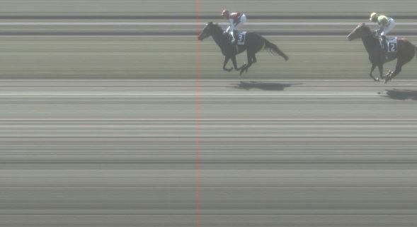 Ippica, Pisa: Oggi 31/03 Risultati 1^ Corsa Vince Soul&nbsp;Sister