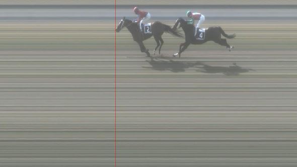 Ippica, Pisa: Oggi 07/03 Risultati 1^ Corsa Vince Caesar&nbsp;Imperator