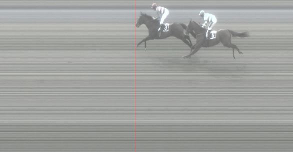 Ippica, Pisa:  Oggi 14/03 Risultati 2^ Corsa Vince Could Be&nbsp;Mine