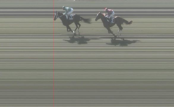 Ippica, Pisa: Oggi 21/03 Risultati 2^ Corsa Vince Zip&nbsp;Line