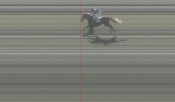 Ippica, Pisa: Oggi 28/03  Risultati 2^ Corsa Vince&nbsp;Amour