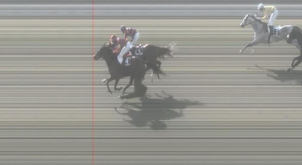 Ippica, Pisa: Oggi 07/03 Risultati 2^ Corsa Vince Up to the&nbsp;Limit