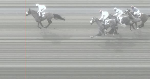 Ippica, Pisa: Oggi 14/03 Risultati 3^ Corsa Vince Ramiz al&nbsp;Aziz