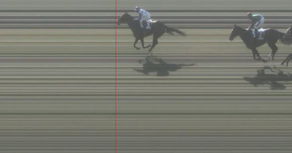 Ippica, Pisa: Oggi 21/03 Risultati 3^ Corsa Vince&nbsp;Sotintes