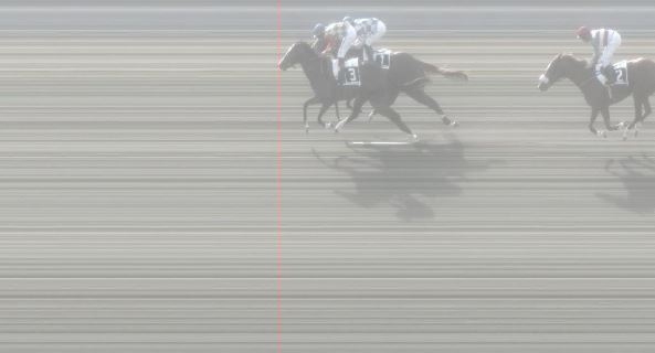 Ippica, Pisa: Oggi 07/03 Risultati 3^ Corsa Vince Maitre&nbsp;Renard