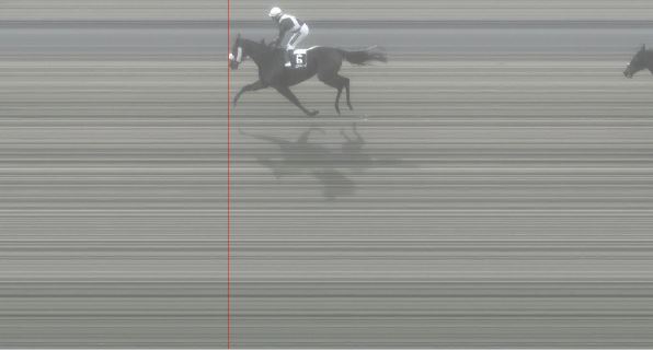 Ippica, Pisa: Oggi 14/03 Risultati 4^ Corsa Vince&nbsp;NeverEndingLove