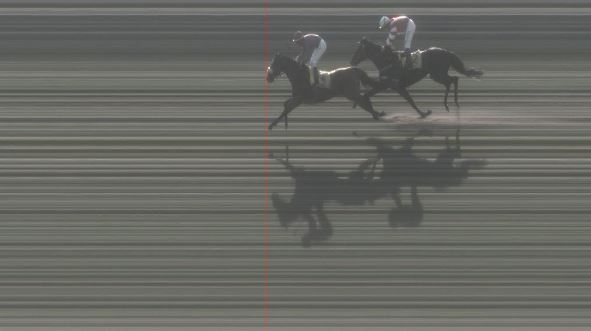 Ippica, Pisa: Oggi 21/03 Risultati 5^ Corsa Vince Staisenzapensieri