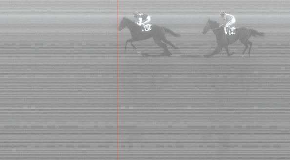 Ippica, Pisa: Oggi 14/03 Risultati 6^ Corsa Vince Soul&nbsp;Sister