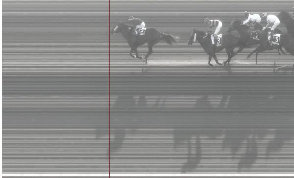 Ippica, Pisa: Oggi 21/03 Risultati 6^ Corsa Vince Terre&nbsp;Promise