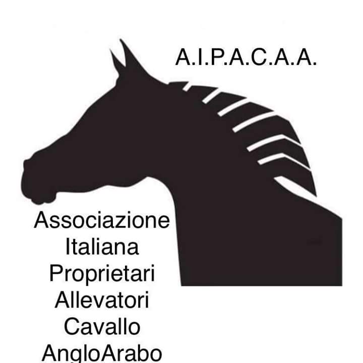 Ippica: A.I.P.A.C.A.A. Gian Mario Carboni Presidente dell’Associazione