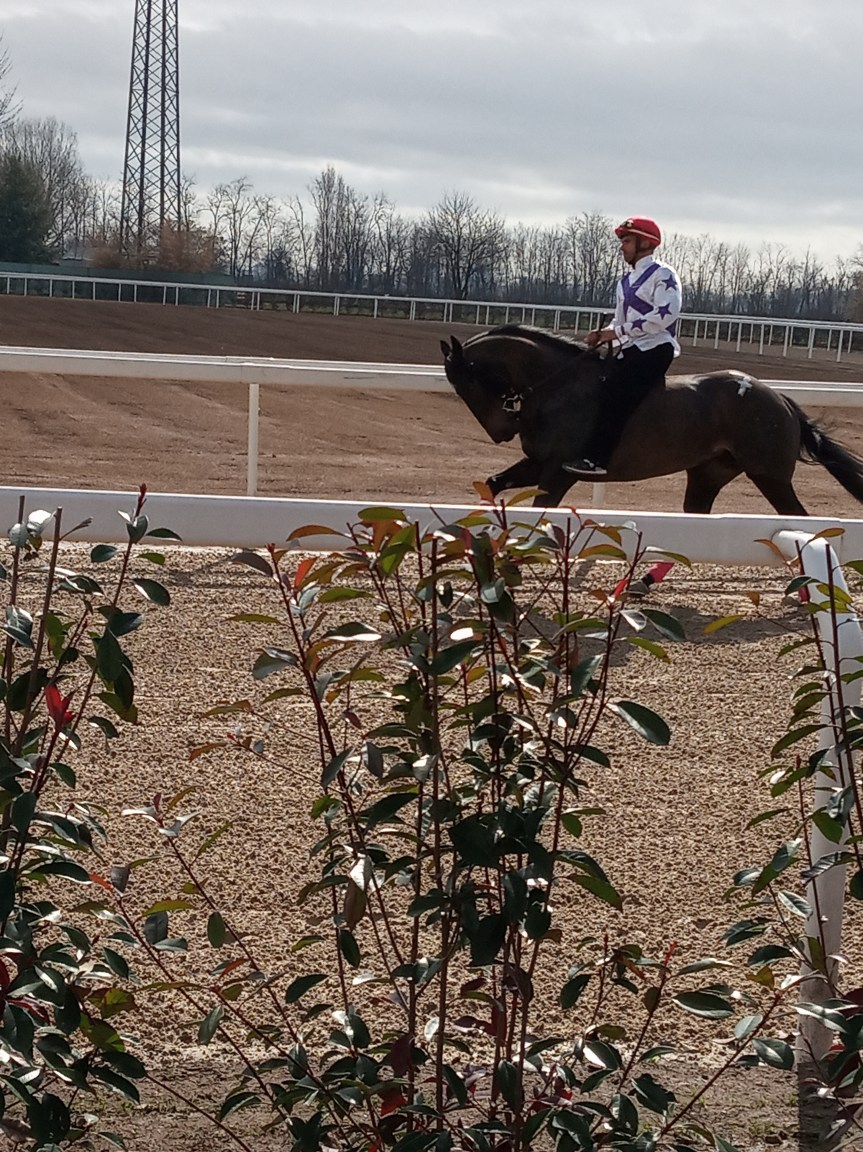 Palio di Legnano: Oggi 10/03 Corse di Addestramento&nbsp;Video