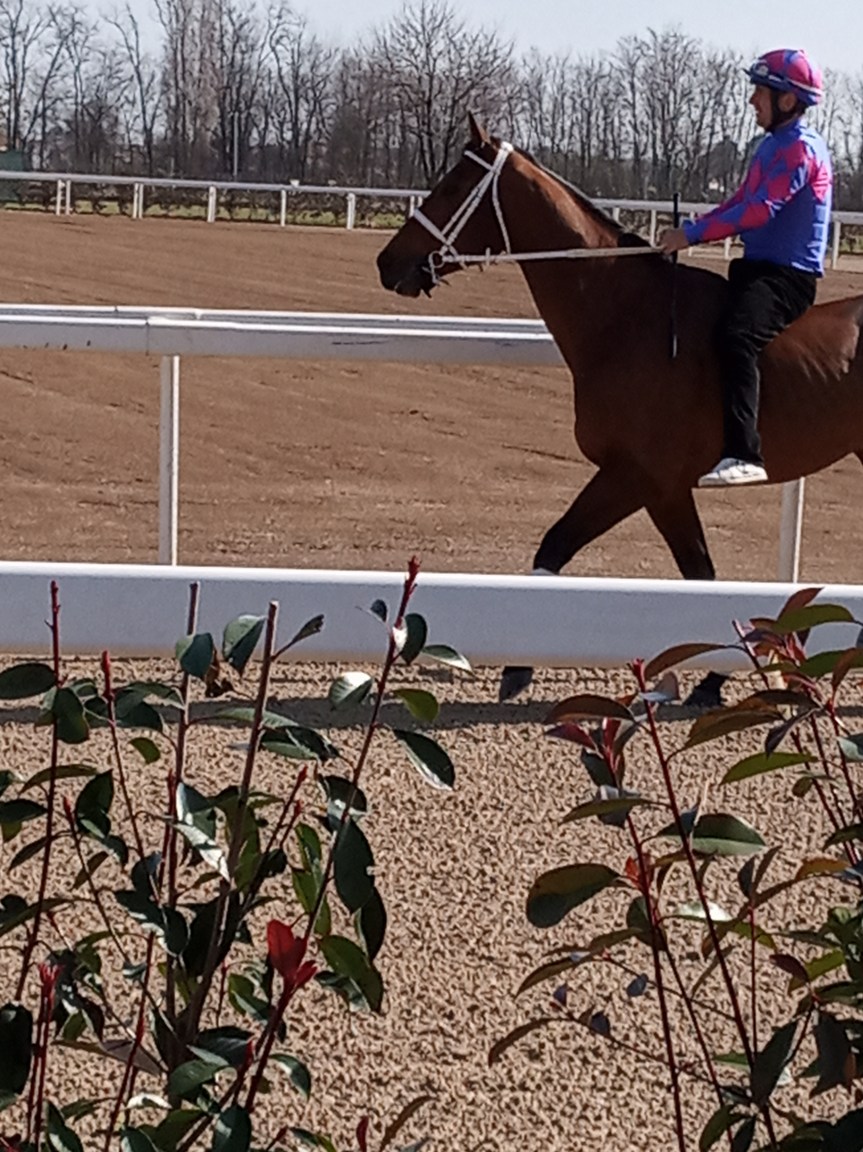 Palio di Legnano: Domenica 31/03 Secondo Appuntamento di Corse all’Etrea Sport&nbsp;horses