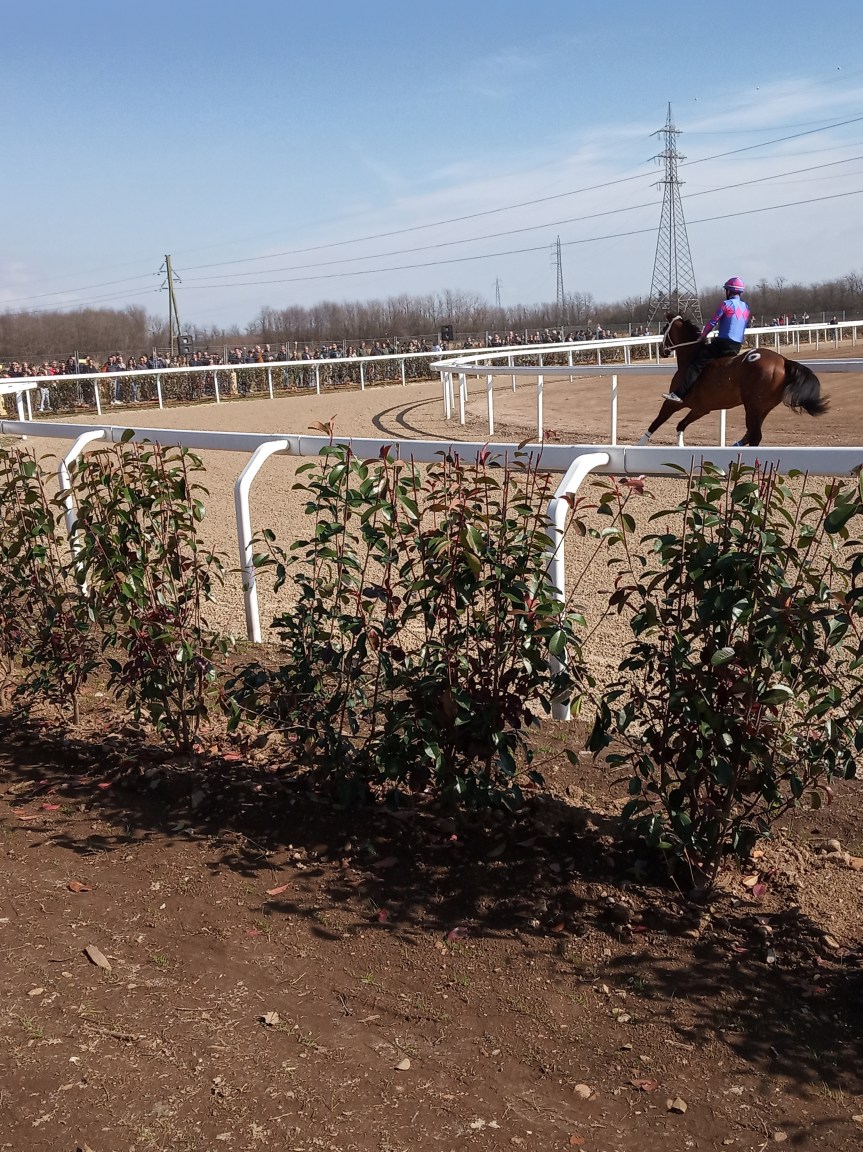 Palio di Legnano: Ecco qua il dettaglio delle Corse di Addestramento di Domenica&nbsp;31/03
