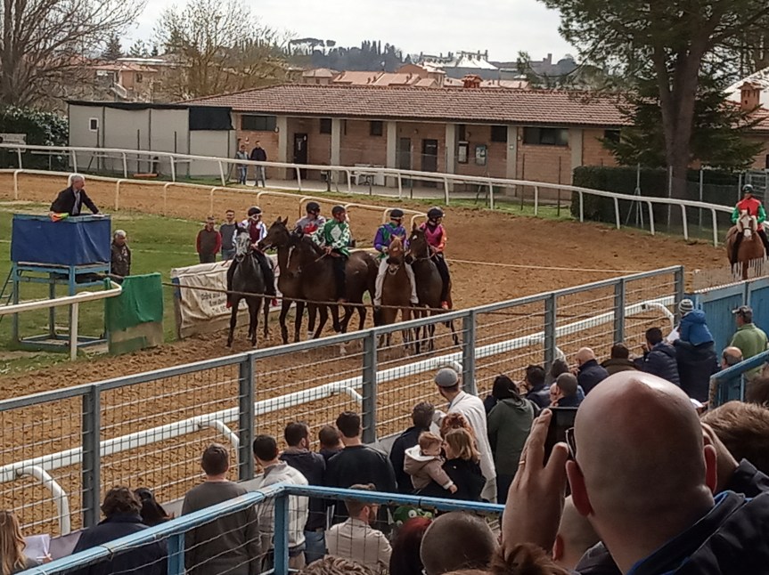 Corse in Provincia, Monteroni d’Arbia: Resoconto Corse di oggi&nbsp;17/03