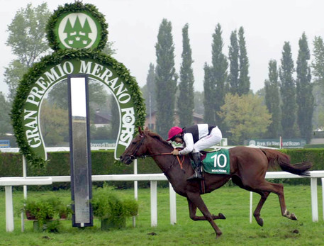 Ippica, Merano: Oggi 28/06 Risultati Odierna Giornata di&nbsp;Corse