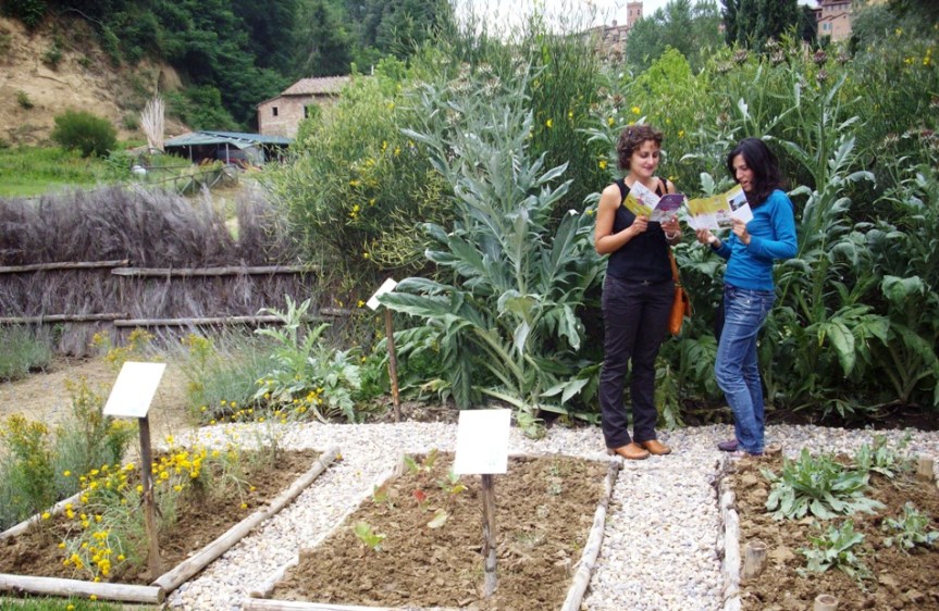 Siena: Avviso pubblico per assegnare 23 orti urbani a San&nbsp;Miniato