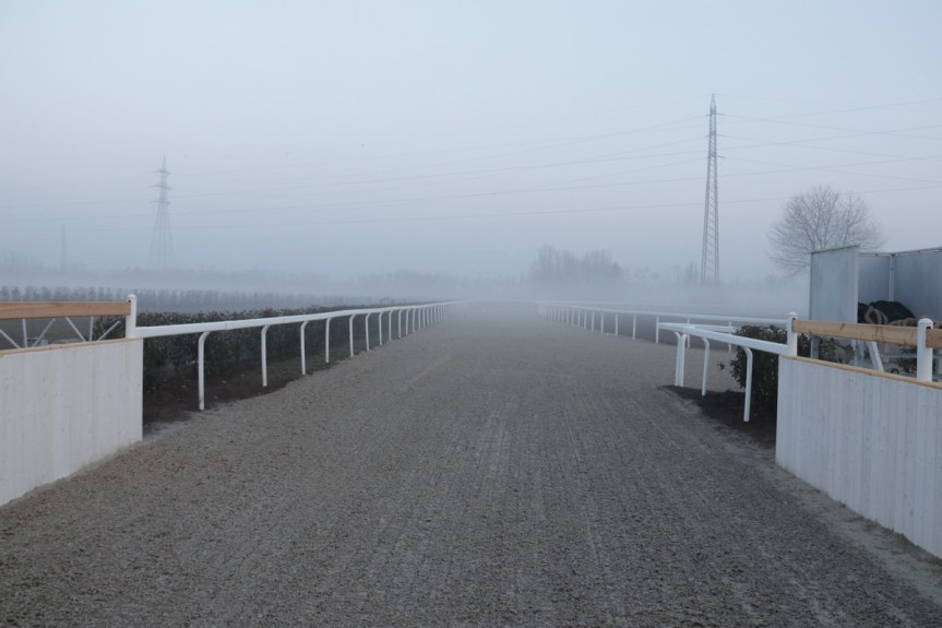 Palio di Legnano: Resoconto Conferenza Stampa di Presentazione della Nuova Pista di Addestramento da Etrea Sport Horses di ieri&nbsp;04/03