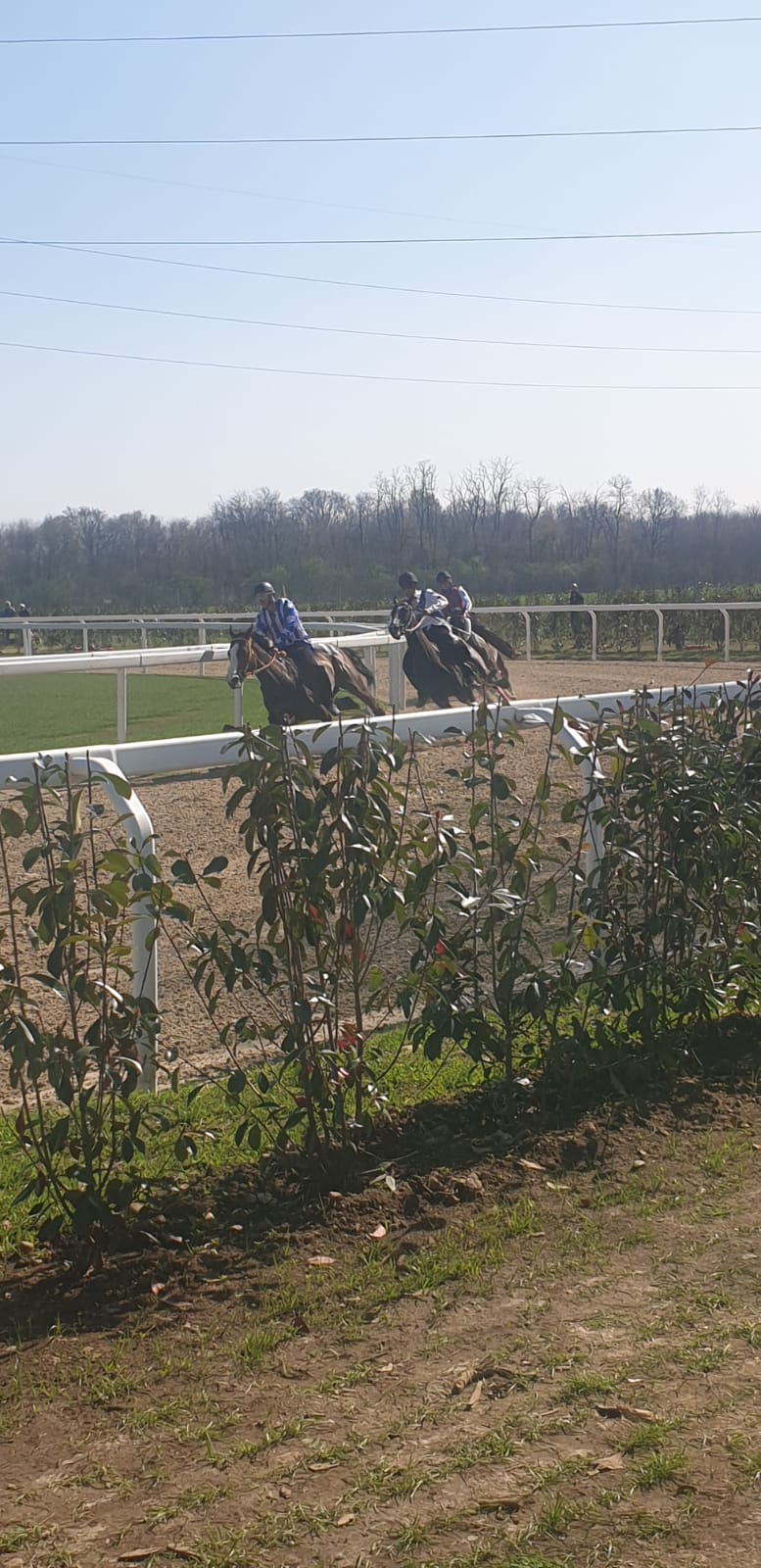 Palio di Legnano: Corse di Addestramento di oggi 31/03 Video delle&nbsp;Corse