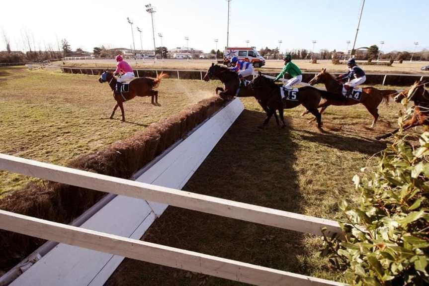 Ippica, Treviso, Drammatico incidente al Premio Castelfranco: Cavallo si rompe il collo e viene&nbsp;soppresso