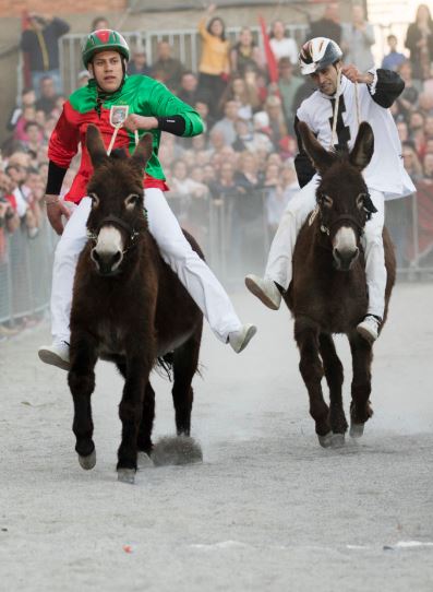 Provincia di Siena: “Il Palio dei Somari è impossibile”