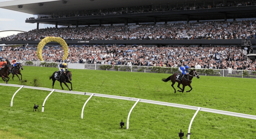 Ippica, Australia: Winx fa ancora il vuoto nelle George Ryder di Rosehill. Ora sono 32 di&nbsp;fila..
