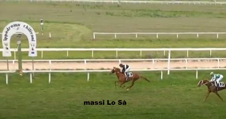 Ippica, Chilivani: Oggi 20/04 Risultati 2^ Corsa Vince Zio&nbsp;Fester