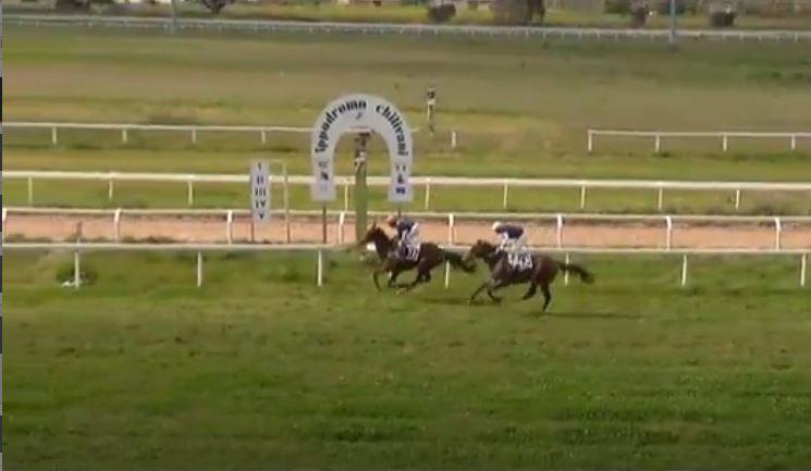 Ippica, Chilivani: Oggi 13/04 Risultati 3^ Corsa Vince Aquila de&nbsp;Aighenta