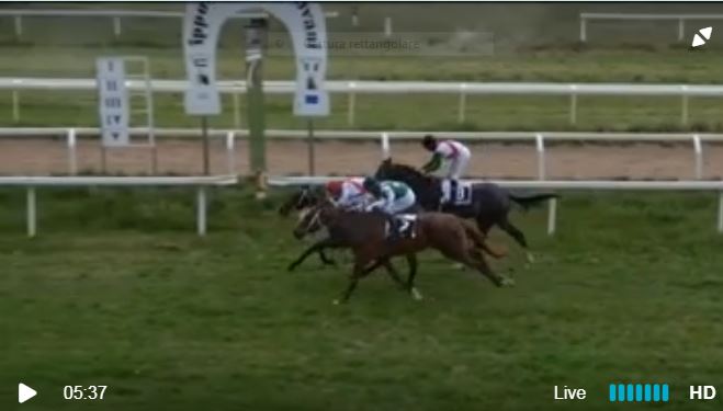 Ippica, Chilivani: Oggi 06/04 Risultati 5^ Corsa Vince Adrenalina&nbsp;Demores