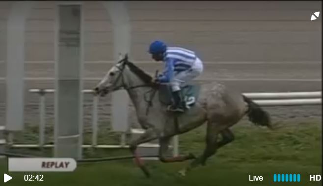 Ippica, Firenze: Risultati 1^ Corsa Vince Zeta&nbsp;Penny