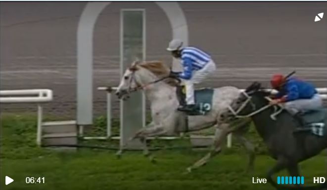 Ippica, Firenze: Oggi 11/04 Risultati 4^ Corsa Vince&nbsp;Anacleto