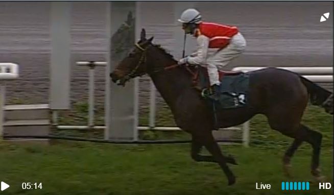 Ippica, Firenze: Oggi 04/04 Risultati 6^ Corsa vince It’s&nbsp;Written