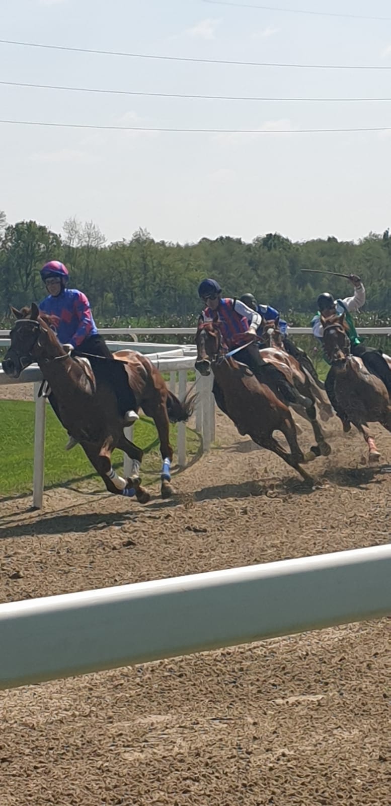 Palio di legnano, Corse di Addestramento: Confermate le date 15/03, 05/04 e&nbsp;19/04