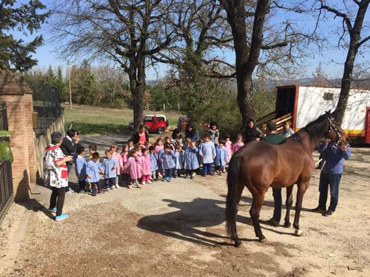 Palio di Siena, Associazione Proprietari, Allenatori, Allevatori Cavalli Palio: Il “Barbero” Elfo di Montalbo alla Scuola d’Infanzia “Il&nbsp;Castagno”